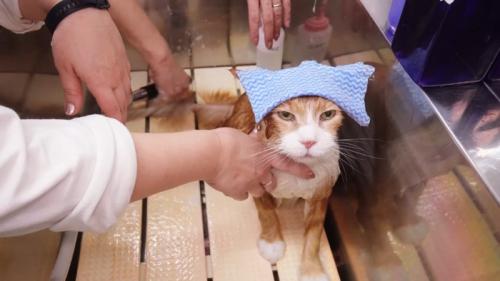 頭にタオル