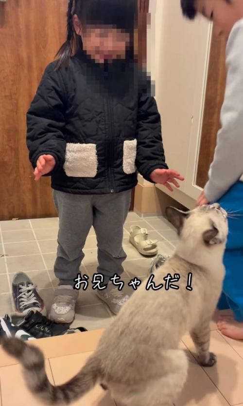 お兄ちゃんがやって来た