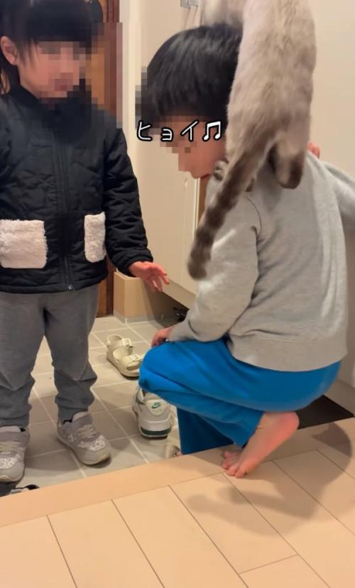 背中に乗る猫