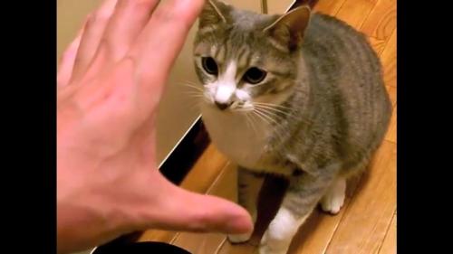 手を広げて