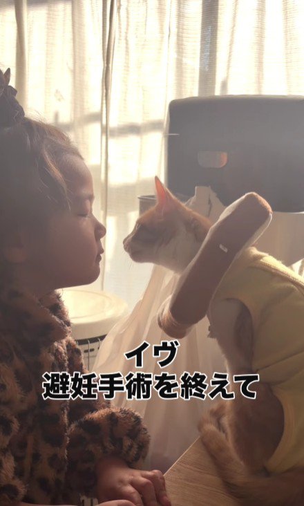 子猫と女の子
