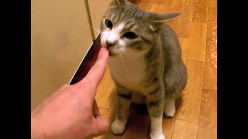 人差し指