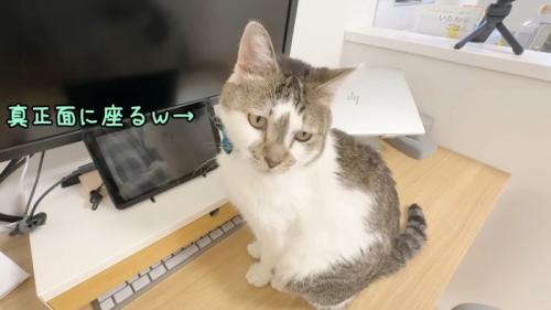 真正面に座る