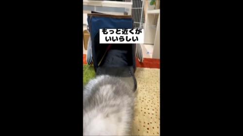 もっと近くが(ドアップ)