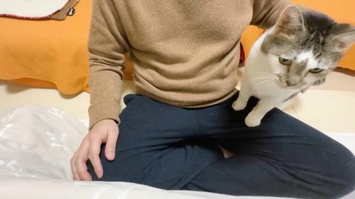 膝に前足をかけた姿