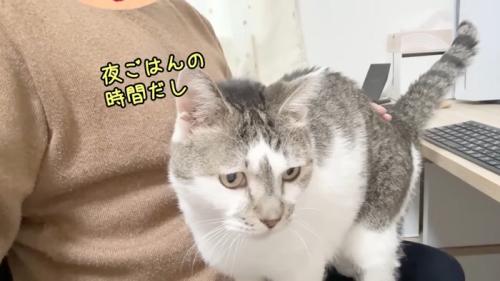 夜ごはんの時間だし