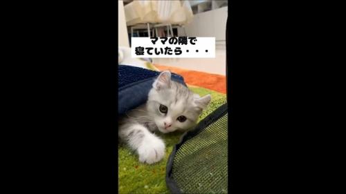 ママの隣で
