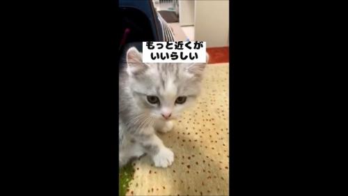 もっと近くが