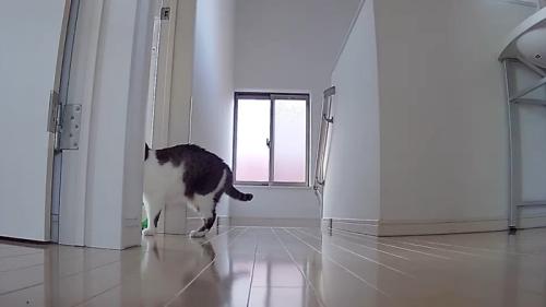 部屋の前