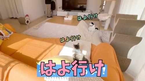 はよ行け