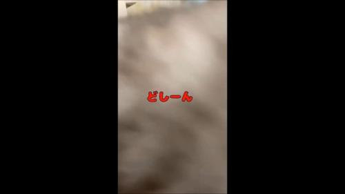 どしーん