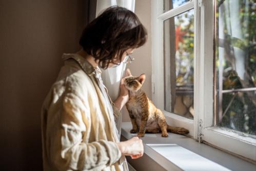 窓辺で甘える猫
