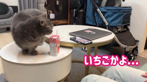 いちごかよ…