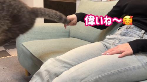 偉いね〜