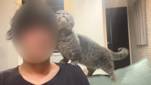 頭にスリスリ