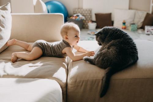 猫と赤ちゃん