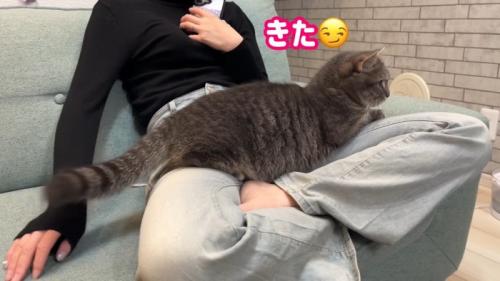 きた
