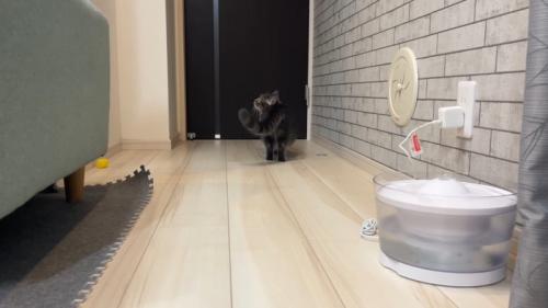 ドアの前