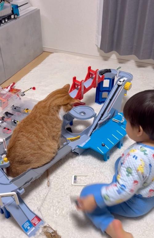 勢いよく坂を下る車