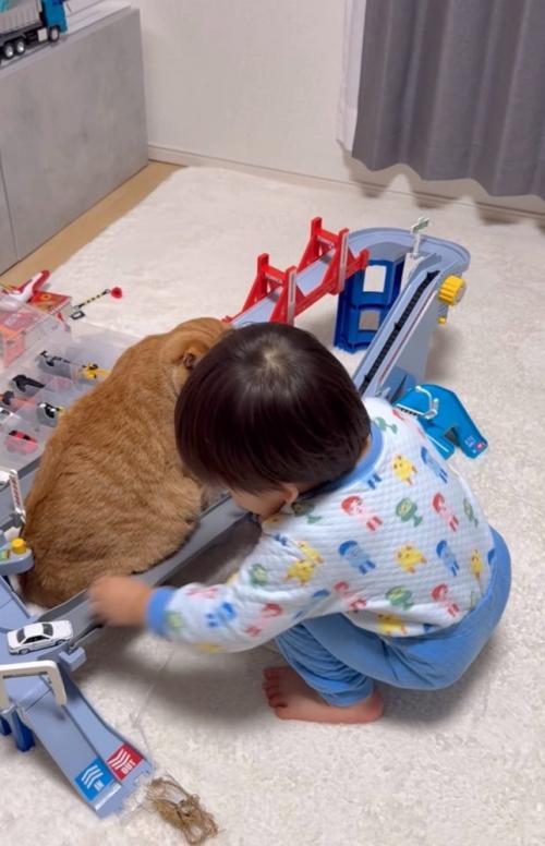 車を走らせる男の子
