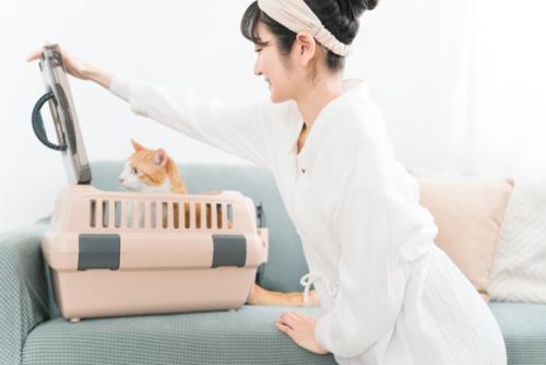 理想的なキャリーケース