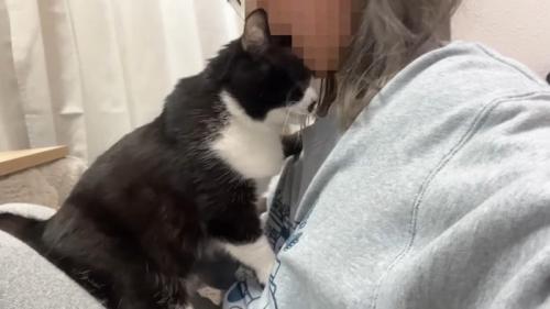 顔をスリスリ