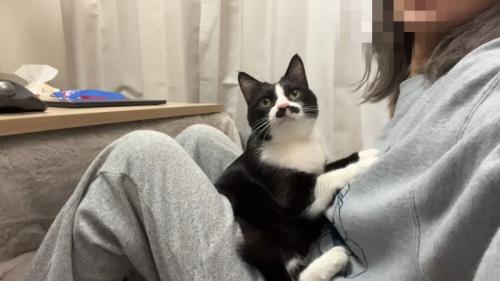 隙間に挟まる姿