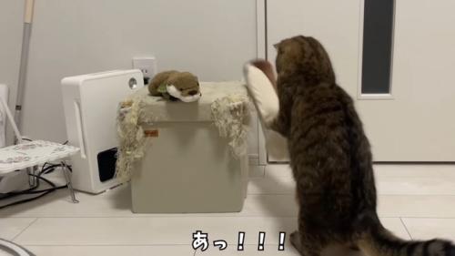 あっ！！！