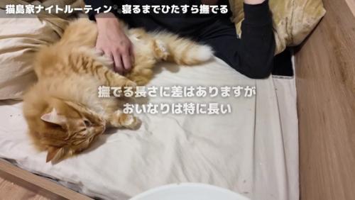 おいなりくんを撫でる