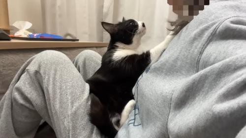 前足でタッチ