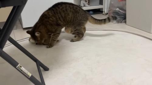 物陰で