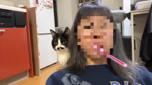 歯磨き中に