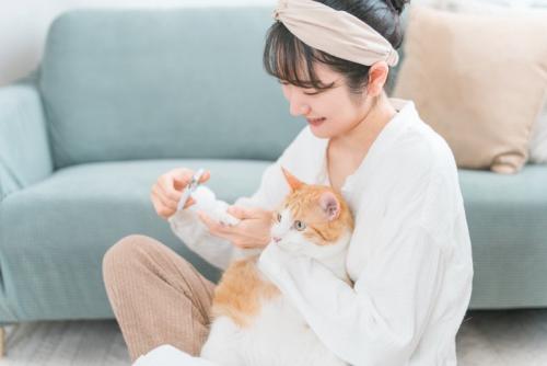猫の爪切り