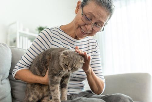 老人と猫