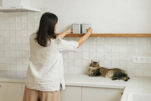 片づける女性と猫