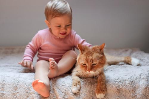 幼児と猫