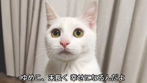 テロップ「ゆめこ、末永く～」