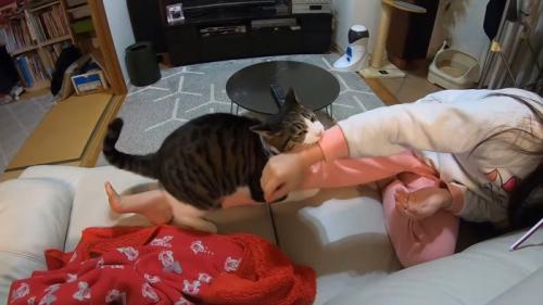 噛みつき
