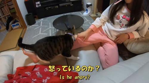 怒っているのか?