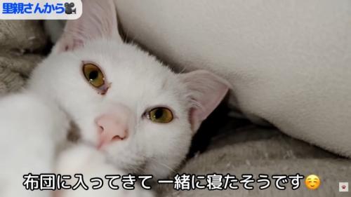 テロップ「布団に入ってきて～」