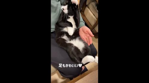 足もかわいい