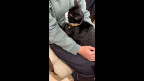 お尻に手を