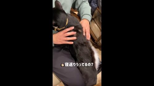 寝返り