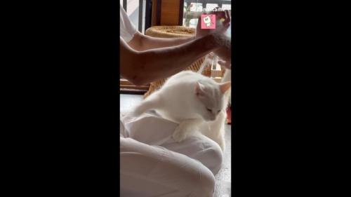 足からおりて