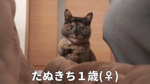 カメラ目線