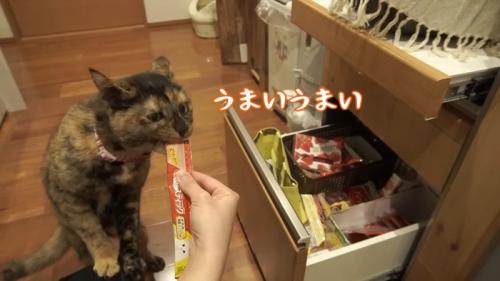 おやつ