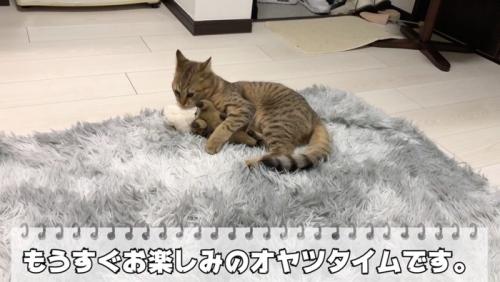 このあとはおやつタイム