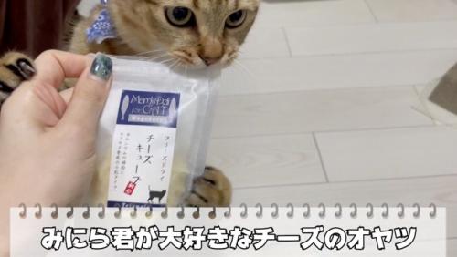 手を掴む様子