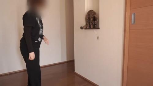物を落とす姿