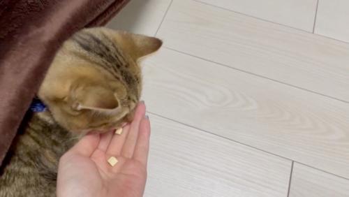 再びおやつを食べるみにらくん